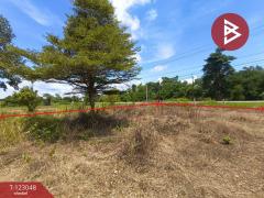 ขายที่ดิน เนื้อที่ 1 ไร่ ศรีวิไล บึงกาฬ-202509291500391759132839921.jpg