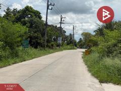 ขายที่ดิน เนื้อที่ 3 งาน 30 ตร.วา บ้านบึง ชลบุรี-202509291529431759134583521.jpg