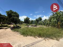 ขายที่ดิน เนื้อที่ 3 งาน 30 ตร.วา บ้านบึง ชลบุรี-202509291529451759134585066.jpg