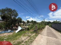 ขายที่ดิน เนื้อที่ 3 งาน 30 ตร.วา บ้านบึง ชลบุรี-202509291529451759134585579.jpg