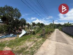 ขายที่ดิน เนื้อที่ 3 งาน 30 ตร.วา บ้านบึง ชลบุรี-202509291529461759134586098.jpg