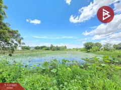 ขายที่ดิน เนื้อที่ 5 ไร่ 2 งาน 23 ตร.วา พนัสนิคม ชลบุรี-202509291539591759135199211.jpg