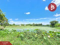 ขายที่ดิน เนื้อที่ 5 ไร่ 2 งาน 23 ตร.วา พนัสนิคม ชลบุรี-202509291539591759135199735.jpg