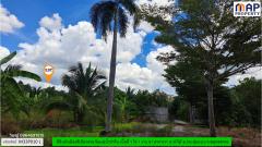 ที่ดินริมแม่น้ำท่าจีน ผังเมืองสีเขียวลาย-202509291631421759138302335.jpg