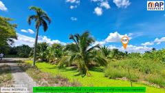 ที่ดินริมแม่น้ำท่าจีน ผังเมืองสีเขียวลาย-202509291631431759138303674.jpg