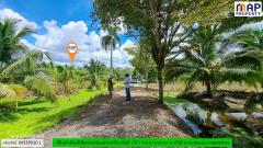 ที่ดินริมแม่น้ำท่าจีน ผังเมืองสีเขียวลาย-202509291631441759138304700.jpg