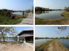 ขายที่ดิน 69 ไร่ 2 งาน 61.7 ตร.ว. อ.พานทอง ใกล้ถนนหมายเลข 3127 และ อบต.เกาะลอย-202509291637291759138649514.jpg