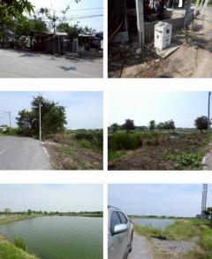 ขายที่ดิน 69 ไร่ 2 งาน 61.7 ตร.ว. อ.พานทอง ใกล้ถนนหมายเลข 3127 และ อบต.เกาะลอย-202509291637301759138650035.jpg