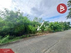 ขายที่ดิน-ในหมู่บ้านเลคการ์เด้นวิล