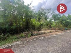 ขายที่ดิน ในหมู่บ้านเลคการ์เด้นวิลล่า เนื้อที่ 1 งาน 58 ตร.วา ธัญบุรี ปทุมธานี-202509291700161759140016027.jpg