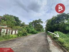 ขายที่ดิน ในหมู่บ้านเลคการ์เด้นวิลล่า เนื้อที่ 1 งาน 58 ตร.วา ธัญบุรี ปทุมธานี-202509291700161759140016561.jpg