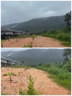 ขาย ที่ดิน 2 ไร่ 70 ตารางวา อำเภอเมืองระนอง จังหวัดระนอง