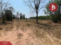 ขายที่ดิน เนื้อที่ 17 ไร่ 1 งาน 40 ตร.วา ภูเวียง ขอนแก่น