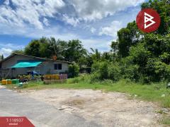 ขายที่ดิน เนื้อที่ 24.3 ตร.วา บ่อยาง สงขลา-202509301104541759205094554.jpg