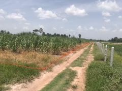 ขายที่ดินเปล่า บ้านหนองแวงเหนือ  มี4 แปลง ตำบลภูปอ เมืองกาฬสินธุ์ จังหวัดกาฬสินธุ์