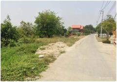 L-146 : ที่ดิน 280 ตร.วา ซ.เชียงรากน้อย 3 (วัดพลับ) สามโคก ปทุมธานี-202509301231081759210268599.jpg