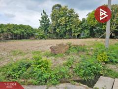 ขายที่ดิน เนื้อที่ 3 งาน 3 ตร.วา ปากช่อง นครราชสีมา-202509301251321759211492554.jpg