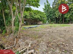 ขายที่ดิน เนื้อที่ 3 งาน 3 ตร.วา ปากช่อง นครราชสีมา-202509301251331759211493425.jpg