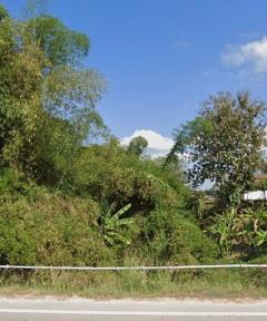 ขายด่วน! ที่ดินติดริมโขง เชียงคาน ทำเลทองเหมาะลงทุน