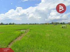 ขายด่วนที่ดินเปล่า เนื้อที่ 13 ไร่ 3 งาน 18 ตารางวา ดอกคำใต้ พะเยา ราคาถูก