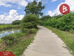 ขายด่วนที่ดินเปล่า เนื้อที่ 13 ไร่ 3 งาน 18 ตารางวา ดอกคำใต้ พะเยา ราคาถูก-202509301349031759214943907.jpg