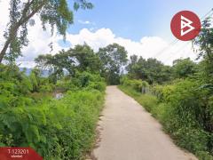 ขายด่วนที่ดินเปล่า เนื้อที่ 13 ไร่ 3 งาน 18 ตารางวา ดอกคำใต้ พะเยา ราคาถูก-202509301349041759214944415.jpg