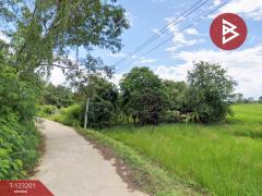 ขายด่วนที่ดินเปล่า เนื้อที่ 13 ไร่ 3 งาน 18 ตารางวา ดอกคำใต้ พะเยา ราคาถูก-202509301349041759214944928.jpg