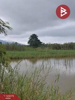 ขายที่ดิน เนื้อที่ 3 ไร่ 2 งาน 48 ตร.วา เทิง เชียงราย