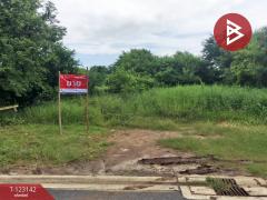 ขายที่ดิน-เนื้อที่-1-งาน-55.3-ตร.วา-ทุ่งค