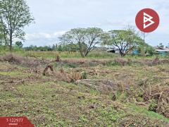 ขายที่ดิน-เนื้อที่-6-ไร่-2-งาน-34.2-ตร.วา-ว