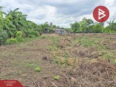 ขายที่ดิน เนื้อที่ 6 ไร่ 2 งาน 34.2 ตร.วา วังเย็น นครปฐม-202509301554071759222447760.jpg