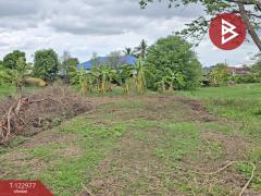 ขายที่ดิน เนื้อที่ 6 ไร่ 2 งาน 34.2 ตร.วา วังเย็น นครปฐม-202509301554081759222448347.jpg