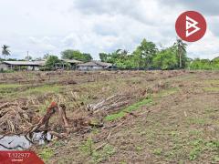 ขายที่ดิน เนื้อที่ 6 ไร่ 2 งาน 34.2 ตร.วา วังเย็น นครปฐม-202509301554081759222448881.jpg