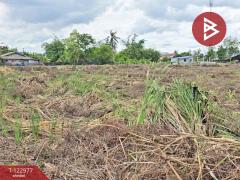 ขายที่ดิน เนื้อที่ 6 ไร่ 2 งาน 34.2 ตร.วา วังเย็น นครปฐม-202509301554121759222452543.jpg