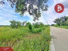 ขายที่ดิน เนื้อที่ 1 งาน 12 ตร.วา คลองหลวง ปทุมธานี-202509301612401759223560185.jpg