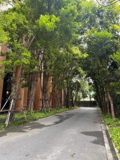 ขายคอนโด The Issara Ladprao ขนาด 52 ตร.ม. ใกล้ MRT ลาดพร้าว และ ยูเนี่ยนมอลล์-202509301634071759224847480.jpg