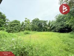 ขายที่ดิน-เนื้อที่-3-งาน-หนองจอก-กรุง