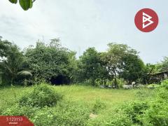 ขายที่ดิน เนื้อที่ 3 งาน หนองจอก กรุงเทพมหานคร-202509301724031759227843899.jpg