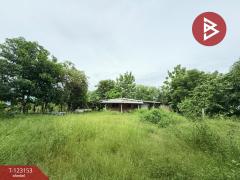 ขายที่ดิน เนื้อที่ 3 งาน หนองจอก กรุงเทพมหานคร-202509301724041759227844451.jpg