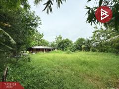 ขายที่ดิน เนื้อที่ 3 งาน หนองจอก กรุงเทพมหานคร-202509301724041759227844983.jpg