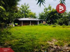 ขายที่ดิน เนื้อที่ 3 งาน หนองจอก กรุงเทพมหานคร-202509301724051759227845522.jpg