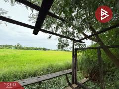 ขายที่ดิน เนื้อที่ 3 งาน หนองจอก กรุงเทพมหานคร-202509301724061759227846641.jpg