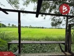 ขายที่ดิน เนื้อที่ 3 งาน หนองจอก กรุงเทพมหานคร-202509301724071759227847210.jpg