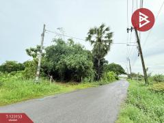 ขายที่ดิน เนื้อที่ 3 งาน หนองจอก กรุงเทพมหานคร-202509301724081759227848350.jpg