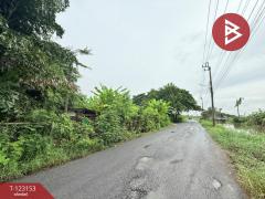 ขายที่ดิน เนื้อที่ 3 งาน หนองจอก กรุงเทพมหานคร-202509301724081759227848894.jpg