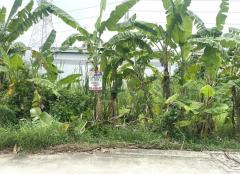 ขายที่ดินถนนเทพารักษ์ ซอยกู้พาราฝั่งใต้-202509301901221759233682594.jpg