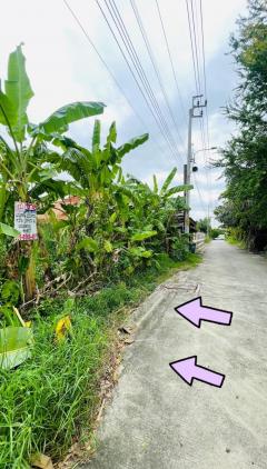 ขายที่ดินถนนเทพารักษ์ ซอยกู้พาราฝั่งใต้-202509301901281759233688852.jpg