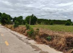 ขายที่ดินบ่อวิน ศรีราชา 2 ไร่ 32ตร.ว ใกล้ทางหลวงสาย 331 เพียง 800เมตร-202509302249171759247357286.jpg