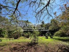 ที่ดิน ขายที่ดินบนเนินเขา และที่ราบสลับซับซ้อนกันแปลงใหญ่ อ.ดอยสะเก็ด จ.เชียงใหม่ 23-2-68.9 ไร่ ราคา 71 ล้านบาท   71000000 thb ไม่ไกลจาก ห่างท่าอากาศยานนานาชาติเชียงใหม่ 40 นาที คุ้มค่าคุ้มราคา