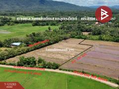 ขายที่ดิน เนื้อที่ 8 ไร่ 3 งาน 91 ตร.วา ลับแล อุตรดิตถ์